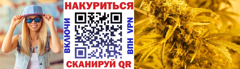 Виды наркотиков купить Георгиевск Конопля ГАШИШ
