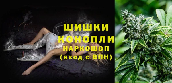 СК Балахна