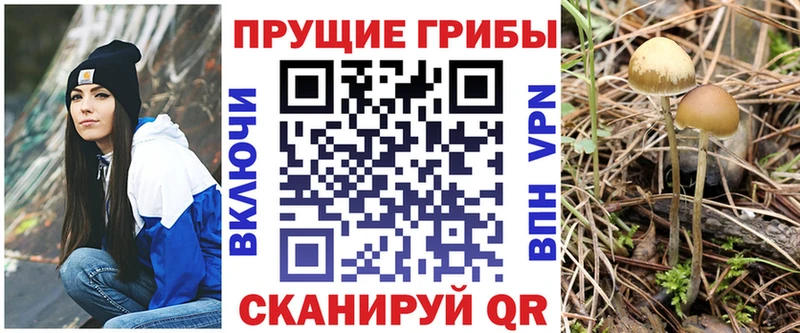 Псилоцибиновые грибы ЛСД  omg как зайти  Георгиевск 